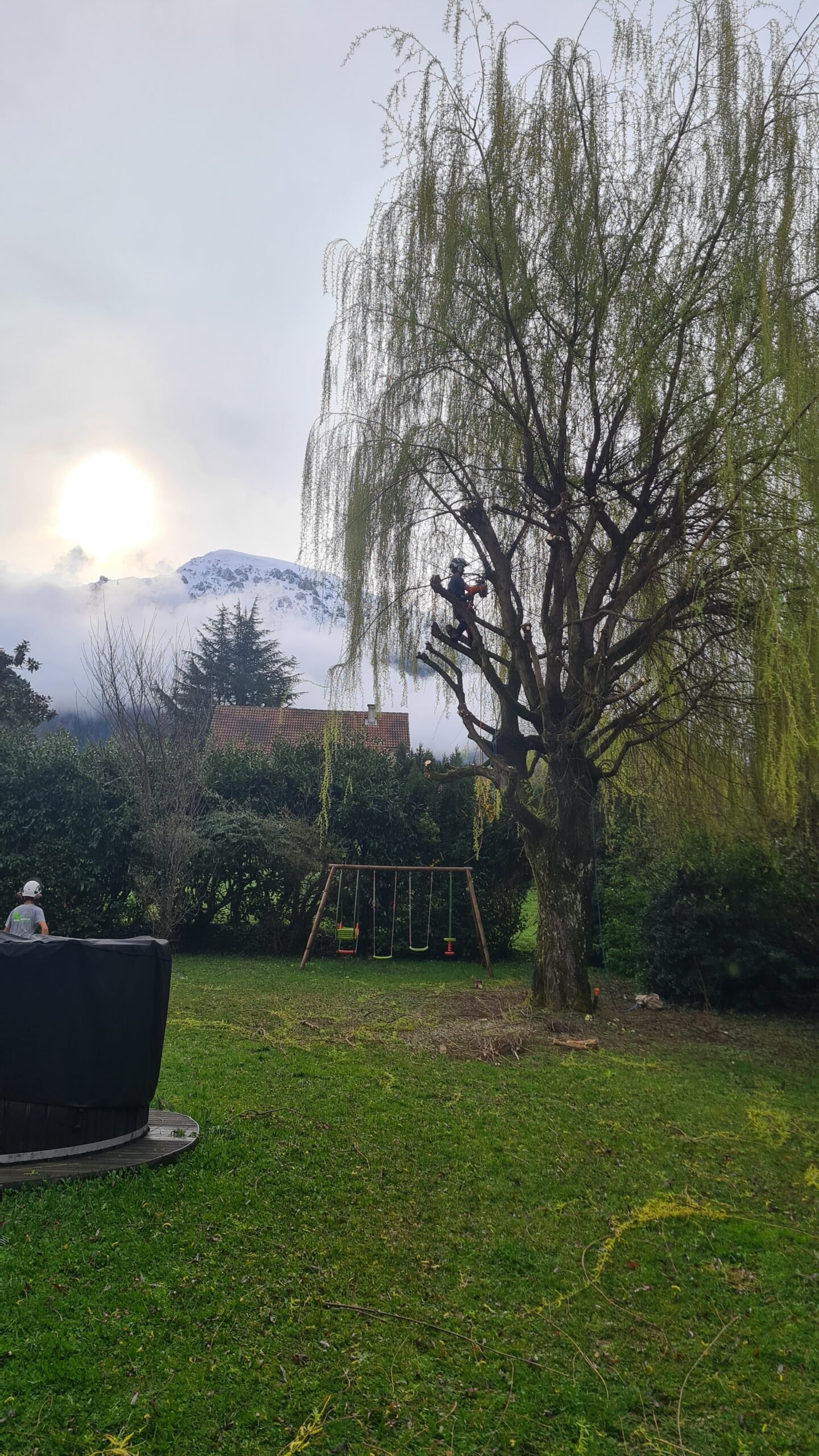 Quand tailler ses arbres ? Le calendrier de l&rsquo;élagueur